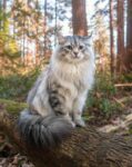 Как избавится от иллюзий и начать жить? Упражнение для адаптации к новой реальности.