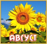 Астрологический прогноз на август 2025 года. Основные события месяца. Заметки астролога.
