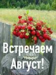 Благоприятные дни в августе 2026 года. Медицина, здоровье (в том числе — косметология, лечебный массаж). Продолжение темы, ранее опубликованной (№2). Заметки астролога.