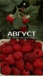 «Благоприятные дни в августе 2026 года». Спорт, стройность, активация дисциплины. Продолжение темы, ранее опубликованной (№4). Заметки астролога.